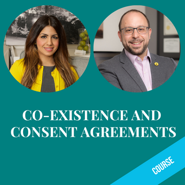 Co-Existence and Consent Agreements
